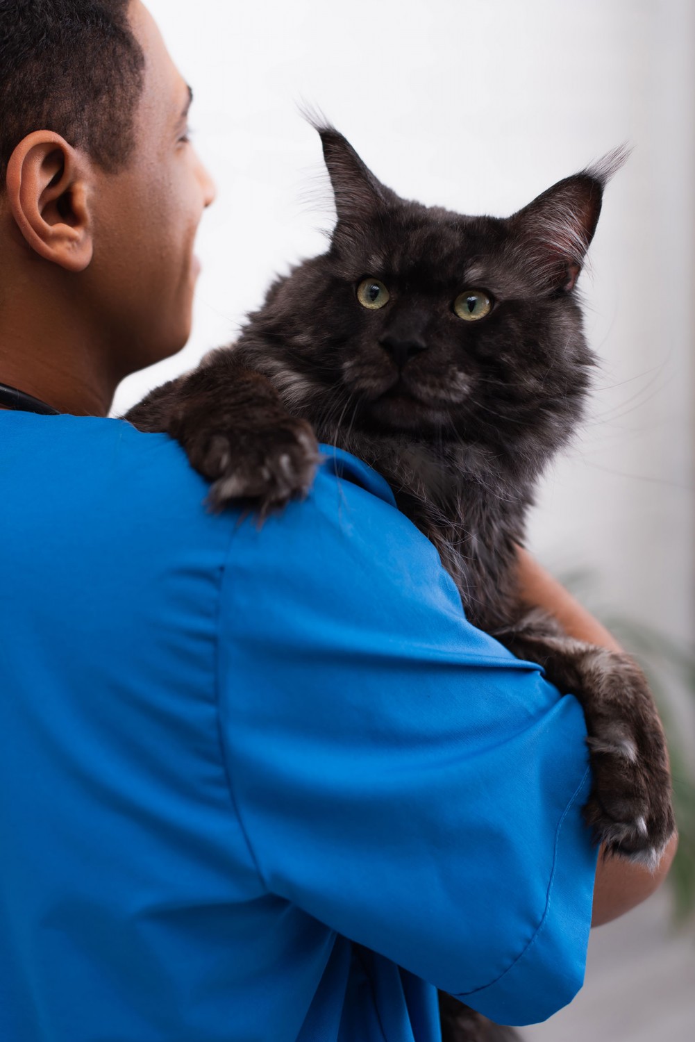 Person holding pet